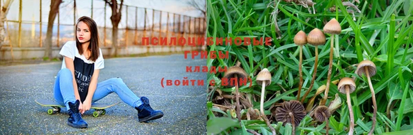 jwh Богородицк