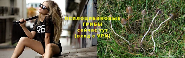 синтетический гашиш Богданович