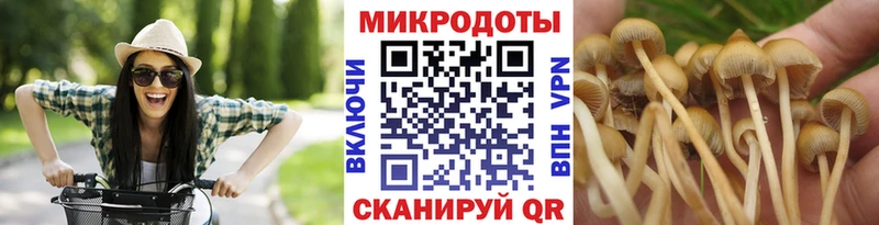 Псилоцибиновые грибы Cubensis  OMG сайт  Менделеевск 